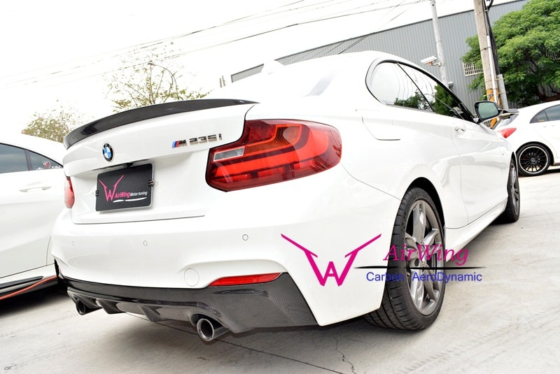 F22 - 3D Design style Carbon Rear Diffuser 1